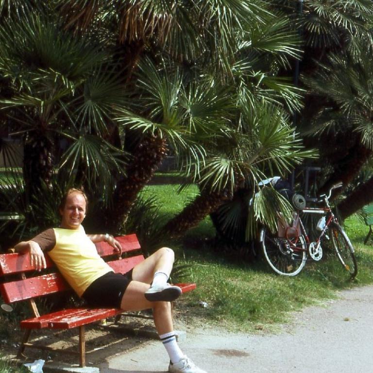 Ein Mann sitzt auf einer roten Parkbank in einer Szenerie mit dichtem tropischem Grün und Palmen.
