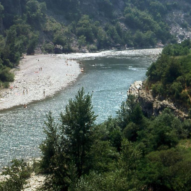 Ein breiter Fluss fließt durch eine bewaldete Schlucht mit einem sichtbaren Sandstrand an einem Ufer
