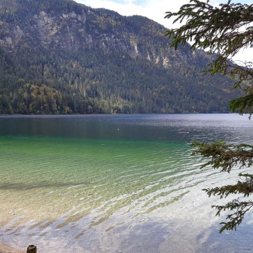 Panorama eines ruhigen Bergsees mit türkisfarbenem Wasser, einem Sandstrand im Vordergrund und einem dicht bewaldeten Berghang im Hintergrund.