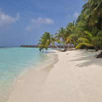 Ein idyllischer tropischer Strand mit türkisblauem Meer, weißem Sand und dichtem Palmenwald am Ufer.