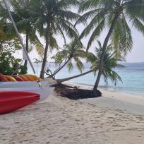 Tropische Strandlandschaft mit zahlreichen Palmen, bunten Kanus und klarem Türkiswasser am Ufer.