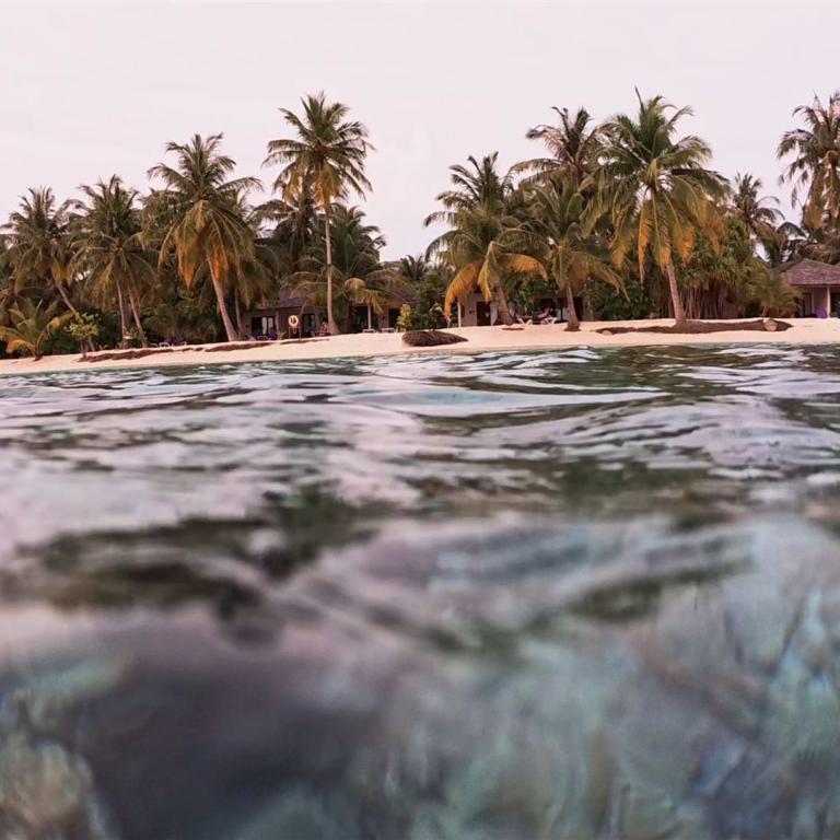 Blick von unter der Wasseroberfläche auf einen tropischen Palmenstrand mit weißem Sand