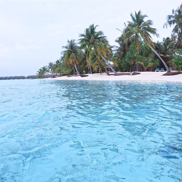 Türkisblaues Meer trifft auf einen weißen Sandstrand, gesäumt von Palmen.