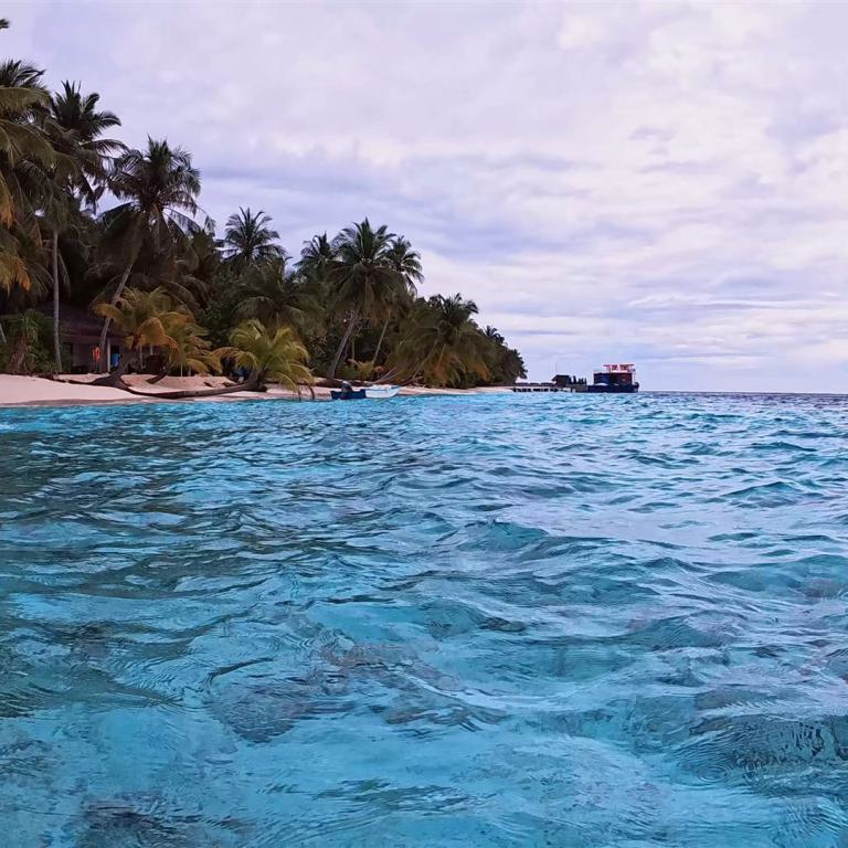 Kristallklares, türkisfarbenes Meer vor einer Küste mit Palmen und Sandstrand