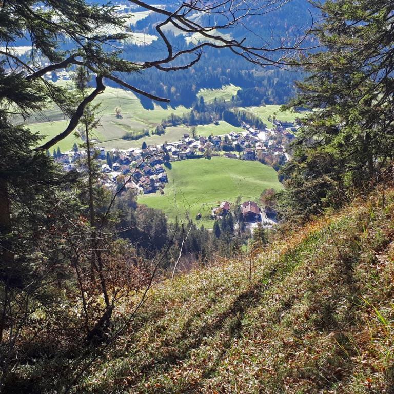 Panoramablick über ein ländliches Tal mit einem Dorf im Zentrum, eingerahmt von Wald und einer grasbewachsenen Böschung.