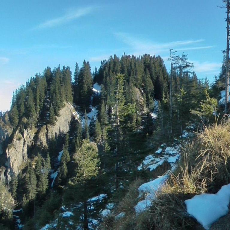 Panoramablick auf einen bewaldeten Bergabhang mit steilen Felswänden und Blick in die Ferne.