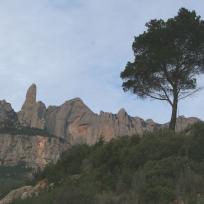 Eine steile Felsformation mit einem markanten Gipfel und einem großen Baum im Vordergrund.