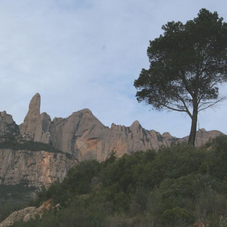 Eine steile Felsformation mit einem markanten Gipfel und einem großen Baum im Vordergrund.