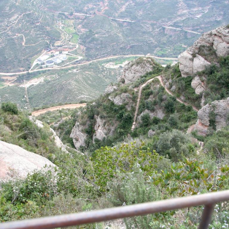 Panoramaaussicht über einen bewaldeten Canyon mit steilen Felswänden und einem geschwungenen Weg.