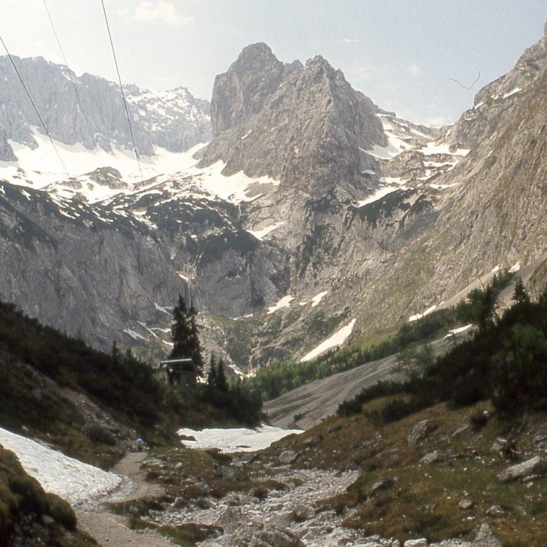 Ein tiefes Bergtal mit steilen, bewaldeten Hängen und schroffen, schneebedeckten Gipfeln im Hintergrund.
