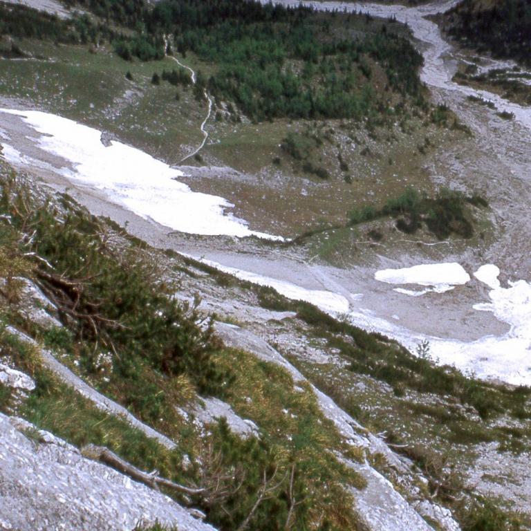 Steiler Berghang mit niedriger Vegetation, blickt auf ein schneebedecktes Tal mit Wald.