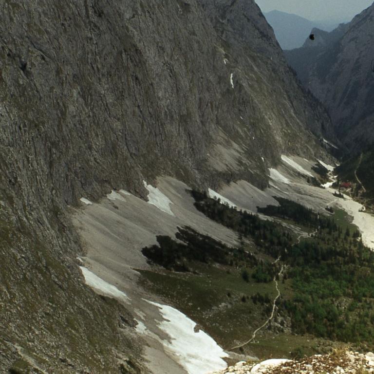Steiler Berghang mit einer Lawinenabgangfläche im Vordergrund
