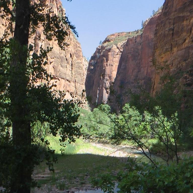 Ein tiefer Canyon mit steilen, roten Felswänden, der im Vordergrund von üppigem, grünem Laubwerk und einem Fluss durchzogen wird.
