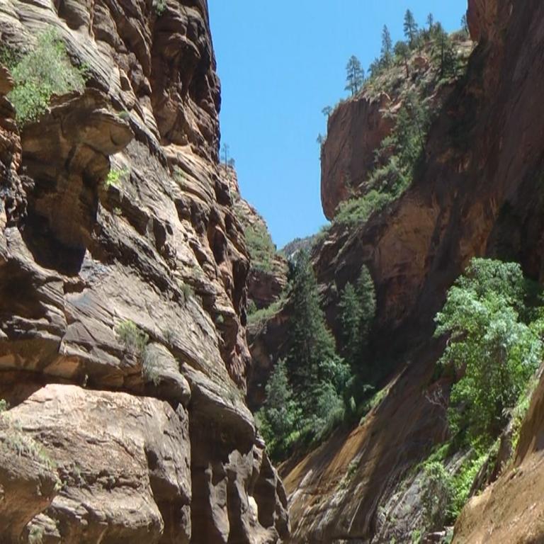 Steile, felsige Canyonwände, die von üppigem Grün durchzogen werden.